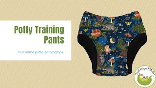 Potty Training? Let's Talk Reusable Training Pants