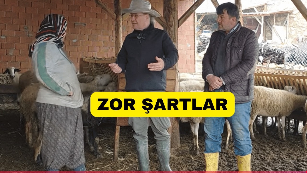 Bursa Keles Uzunöz Karı Koca Kış Şartlarında Koyunculuk!