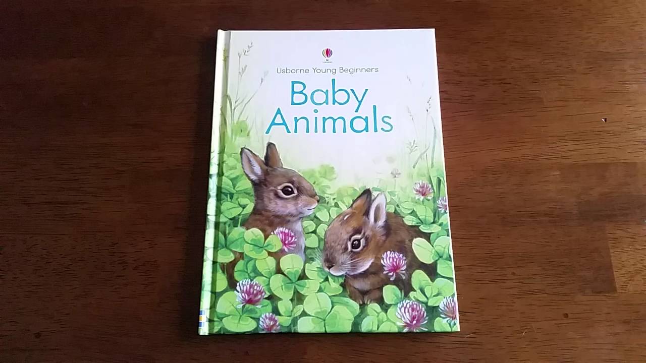 Baby Animals Usborne Books & More YouTube