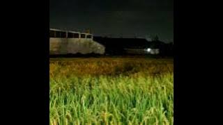 NATURE EXPLORE. SAWAH ATMOSPHERE AT NIGHT. Frog Sound. TONGGERET SOUND