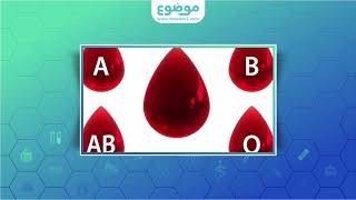 ما هي خصائص فصيلة الدم