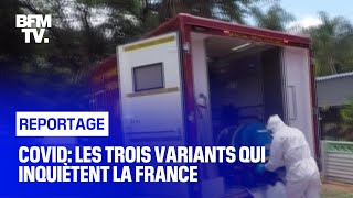 Covid: les trois variants qui inquiètent la France