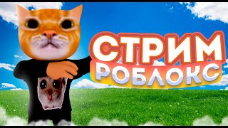 СТРИМ РОБЛОКС 🎈 РОЗЫГРЫШ РОБЛОКС #shorts