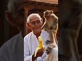 dada ji or badar kadadi aur bandar ki kahani/dadi aur bandar ki kahani short video /dadi ki kahani