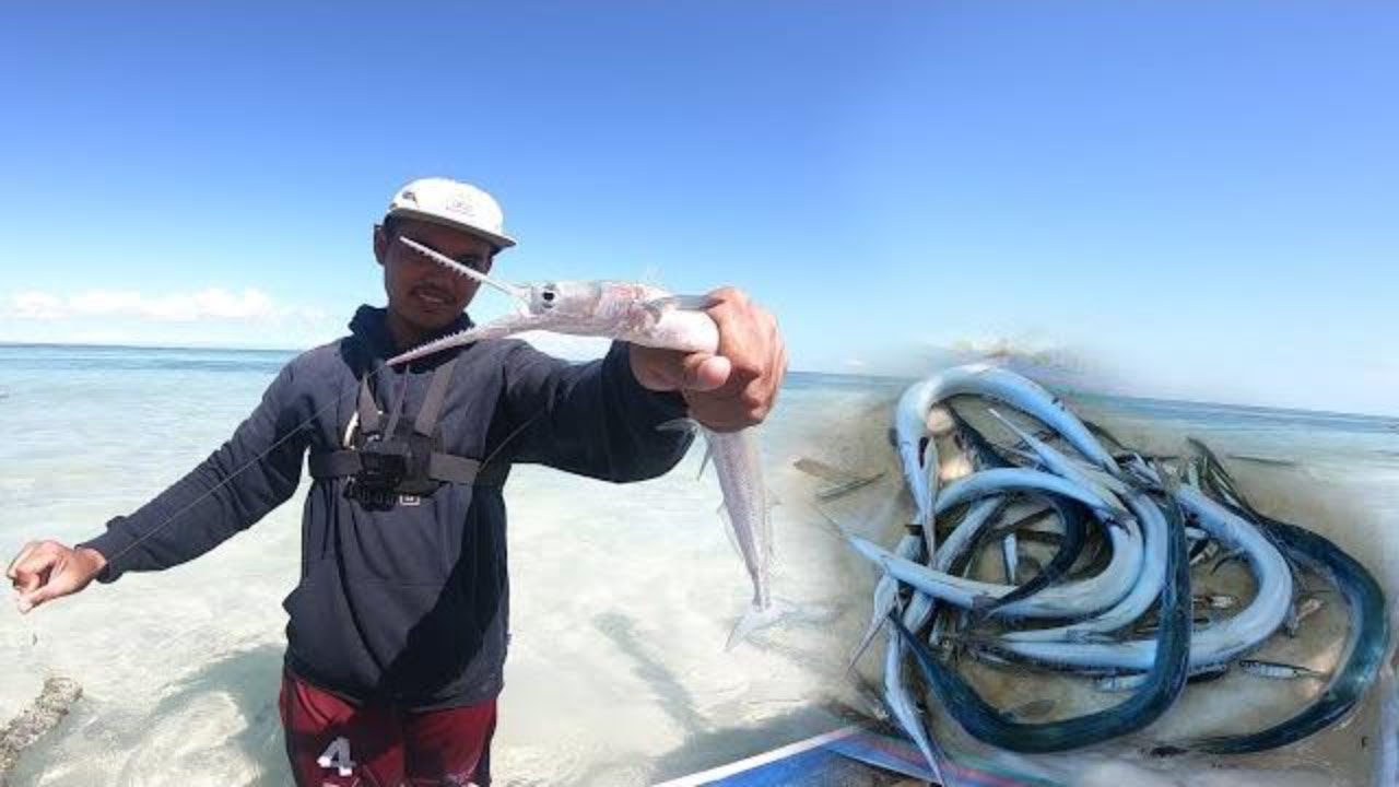 Mancing pinggir pantai panen ikan Cendro strike tak henti2 houndfish