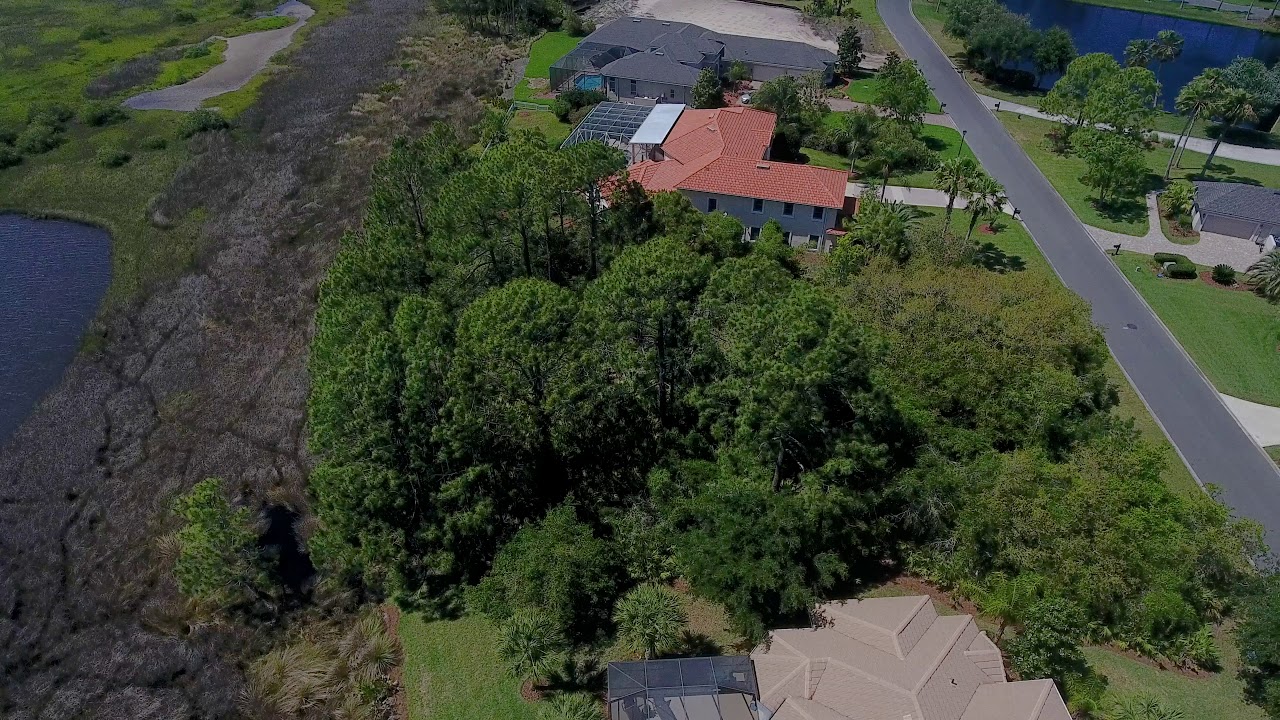 Homes For Sale In St. Augustine Marsh Creek Intracoastal View Lot