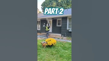 The PERFECT Spider Web Cleaner!