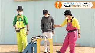 １２日からのイルカとペンギンパフォーマンスを一足早く　南知多ビーチランド (22/03/10 19:04)