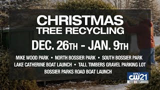 Celebrity Keep Bossier Beautiful Christmas tree recycling Net Worth