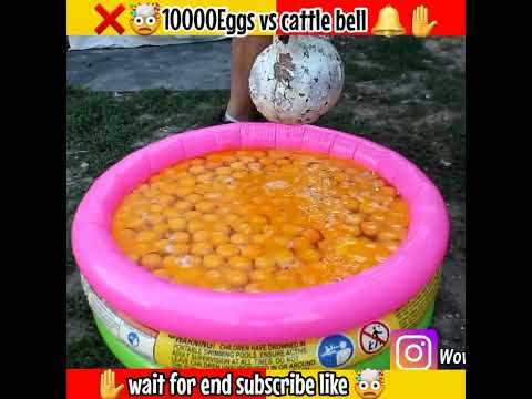 10000 eggs vs कैटलबेल  #shorts  @CrazyXYZ New Experiments video   | Mr indian Hacker #crazyxyz - 10000 eggs vs कैटलबेल  #shorts  @CrazyXYZ New Experiments video   | Mr indian Hacker #crazyxyz
