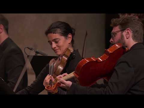 A. Vivaldi - Concerto pour violon RV 317 (Le Concert de la Loge)