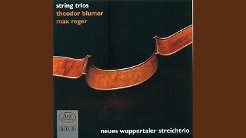String Trio in A Minor, Op. 77b: I. Sostenuto - Allegro agitato