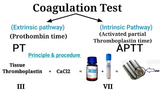 Prothombin time test || Coagulation Test|| Clotting factor screenshot 3