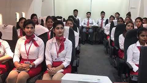Frankfinn airhostess training