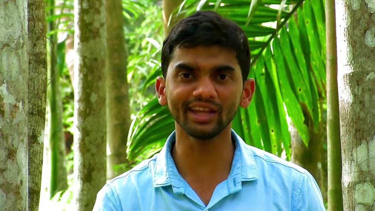 Areca Tea Documentary HD - YouTube