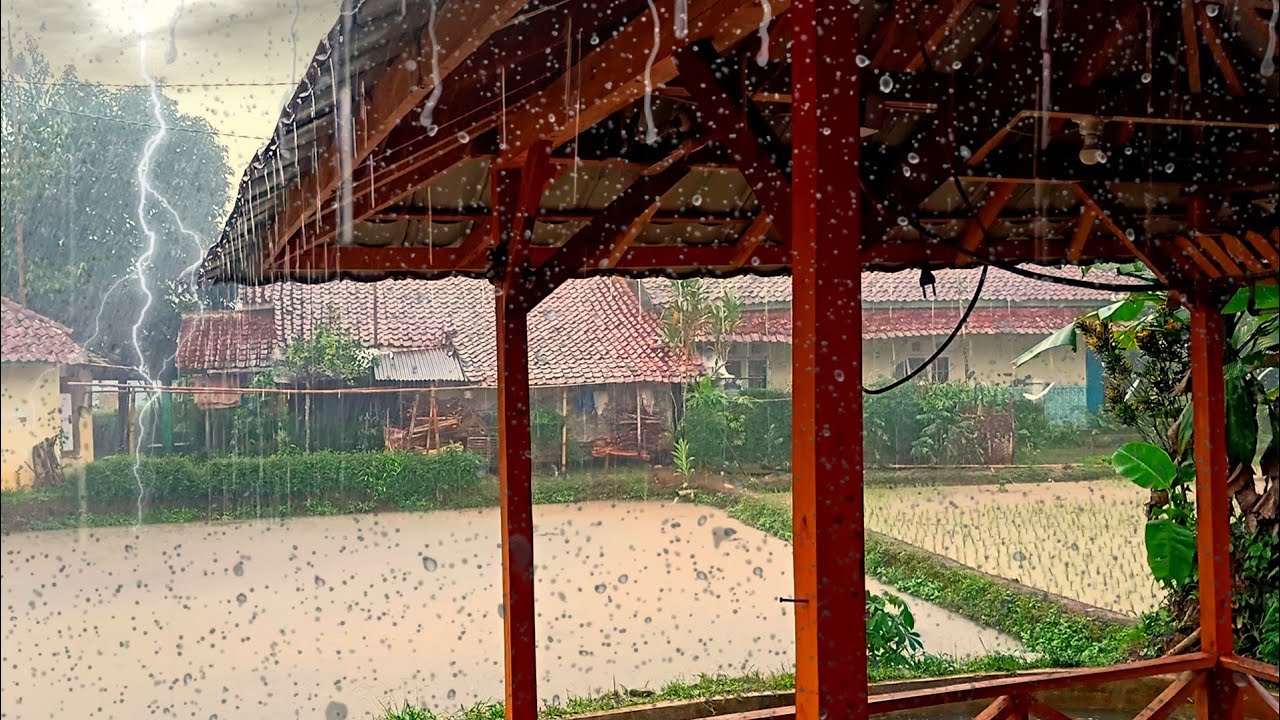 Heavy rain throughout the day gives our bodies energy to welcome ...