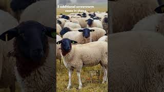 Oklahoma Farm report week in review June 26th 2026￼