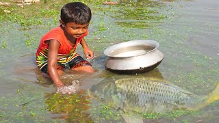 amazing hand fishing - smart boy catching fish by hand - traditional hand fishing video