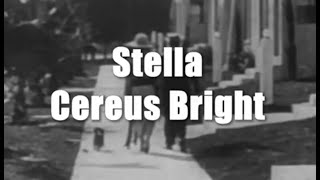 Stella - Cereus Bright (lyrics)