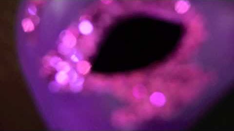 Gamma Line Coming Out Show Promo