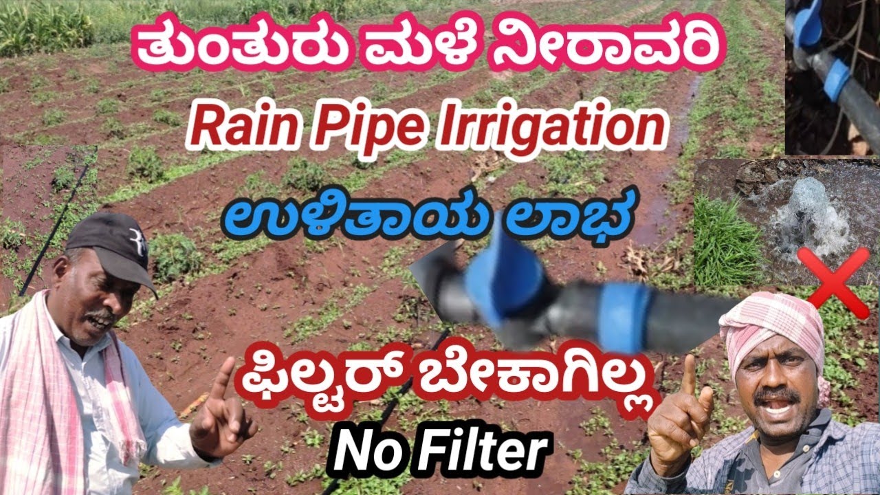 ತುಂತುರು ಮಳೆ ನೀರಾವರಿ || Rain Pipe Irrigation