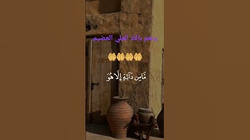 سورة هود عليه السلام الاية 56  #ادكار #قران