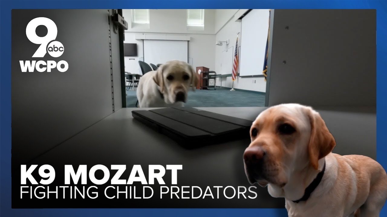 Mozart the police dog sniffs out electronics to find CSAM offenders