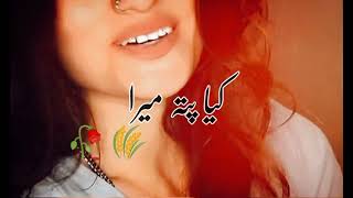 Shakal Se Bure Dill Ke Hai Ache | Pashto and Urdu Mix Status