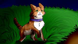 Cat Warriors(Коты воители):Стань Диким!(Трейлер) Cat Warriors(Коты воители):Стань Диким!(Трейлер)