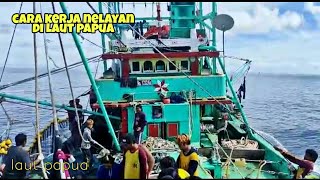 cara kerja nelayan di laut papua | nelayan indonesia | kota juwana