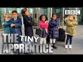 It's down to business with the TINY Apprentice 😎🍳  The Apprentice - BBC