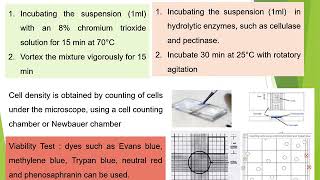 Plant Tissue Culture SUSPENSION CULTURE