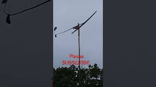 Kolecer Vs Kincir Angin