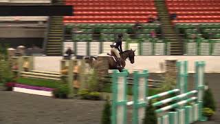 Video Of Beckham Jr Ridden By Emily Gilbert From Shownet