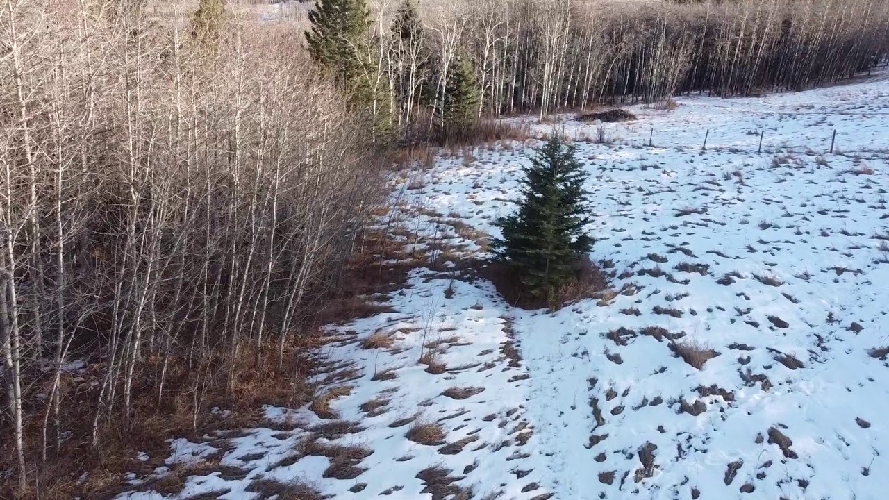 The Retreat - Drone Flight in the Alberta Foothills.