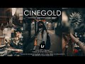 How to edit professional cinematic gold photography  mobile lightroom presets free download