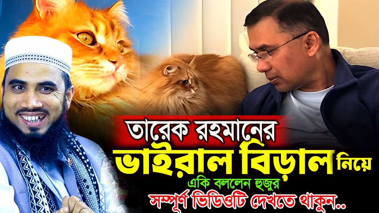 তারেক রহমানের ভাইরাল বিড়াল নিয়ে, একি বললেন হুজুর। গোলাম রব্বানী ওয়াজ ২০২৫। Golam Rabbani Waz 2025।