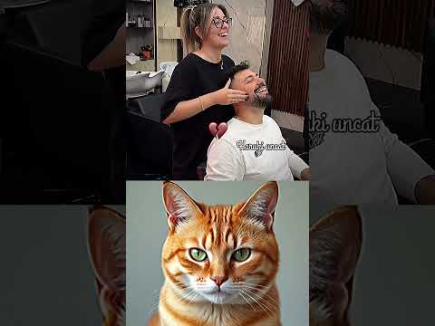 "Too Funny to Be  😆" #cat #funny #memes #ternding