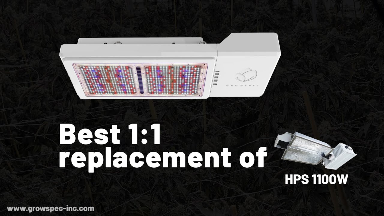 SR800 LED Growing Light for Vertical Farming