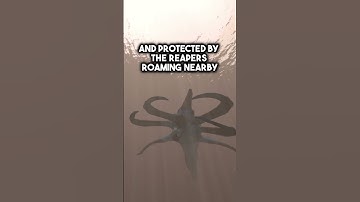 The Secret Biome Guarded By Reaper Leviathans