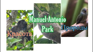 Manuel Antonio Park || Красота природы в Коста-Рике 🌴