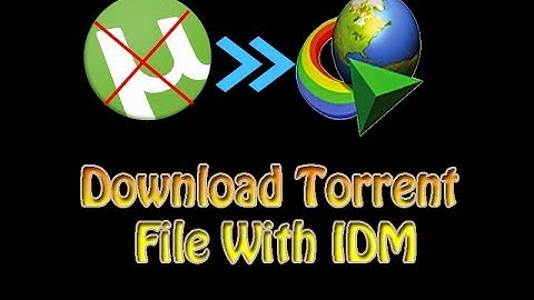 How to download Torrent file with idm | Torrent movie with IDM | Tech Geek