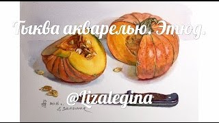 Как нарисовать тыкву акварелью Как нарисовать тыкву акварелью