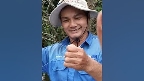 Câu cá bằng thuyền nhựa composite