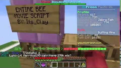 I Wrote the whole bee movie script in Minecraft