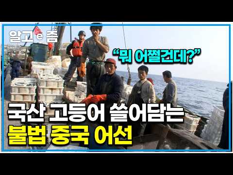 &amp;quot;고마워 한국~&amp;quot; 걸리면 벌금 내고 안 걸리면 땡큐 잇따라 침범해 국내산 고등어 쓸어가는 불법 중국 어선의 심각함｜다큐 인｜알고e즘