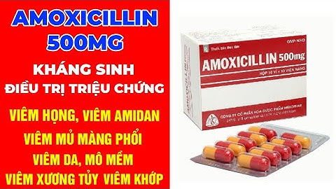 Amoxicillin 500 mg là thuốc gì năm 2024