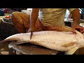 Admirable Koral Fish Skinning & Chopping In Bangladesh || Live Fish Cutting Skills ||
