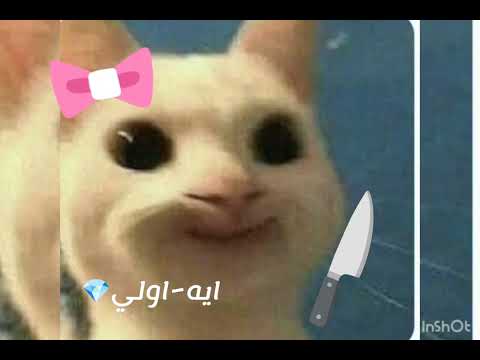 ارجوكم قولو اي لان يمكن روبلوكس تنحذف في العراق