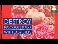 Destroy  Blockages &amp; Fear With Easy Steps | Aditi